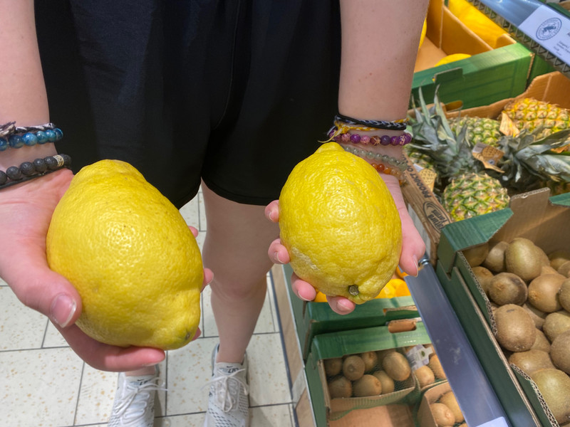 HUGE lemons! 