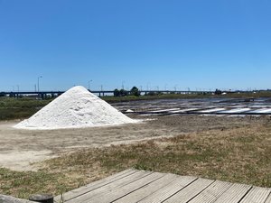 Traditional salt pile drying in sun