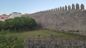 orange trees and the old wall of the city