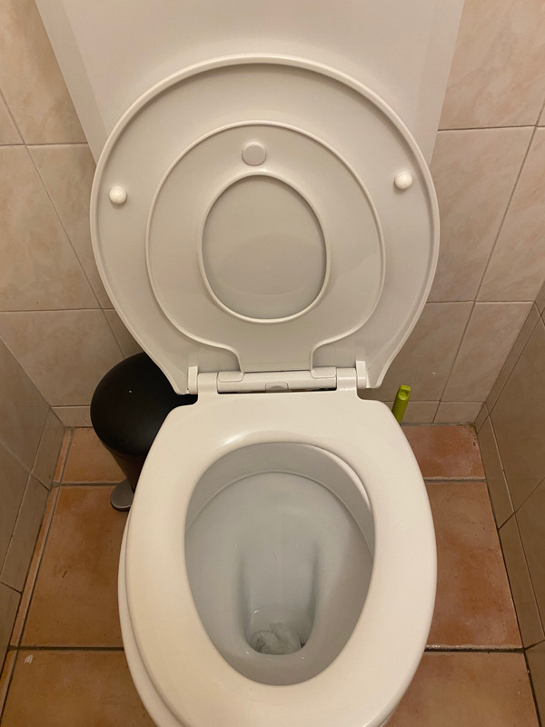 Toilet seat for toddlers! Had to take a pic!