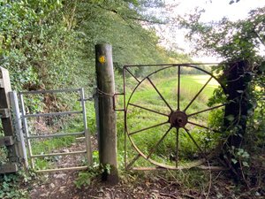 Wheely nice gate. 