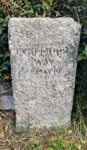 2 Moors Way marker stone.