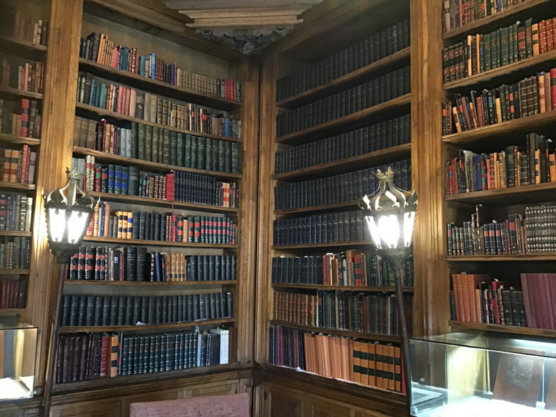 The library at the Mateus’ Palace.