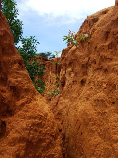 Red Canyon at Mui Ne, not quite the Grand Canyon!