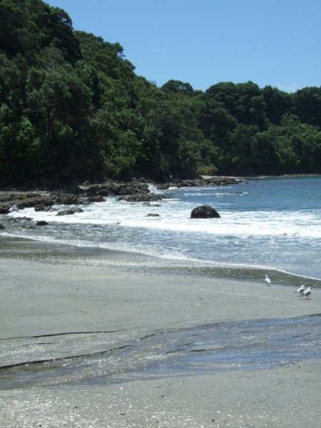 Otarawairere beach
