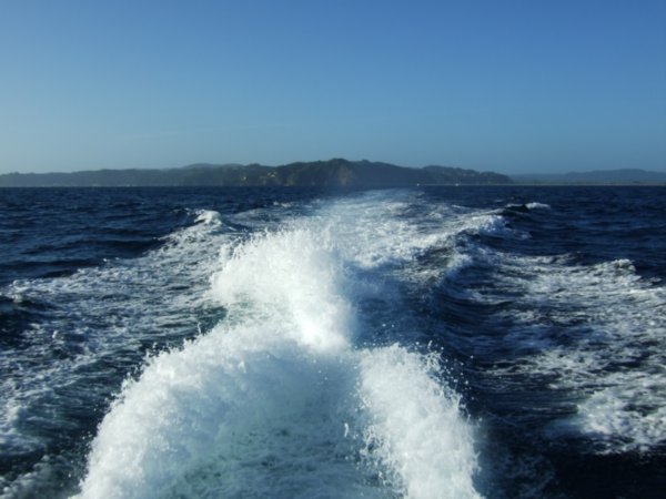 The Bay of Plenty as seen from the back of Black Shag, our Dive White boat
