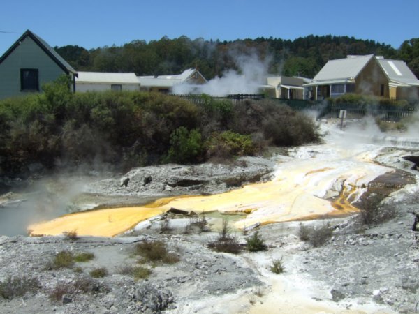 Te Whakarewarewa Village is built on geothermally active land