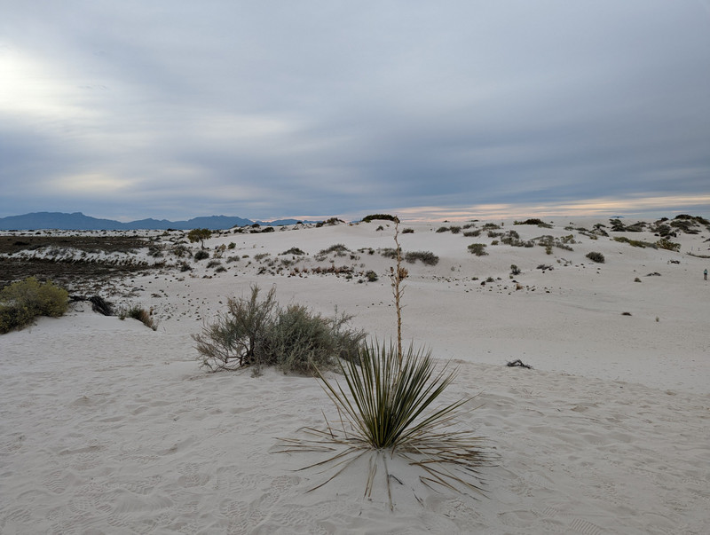 Our final stop of the day was White Sands National Park