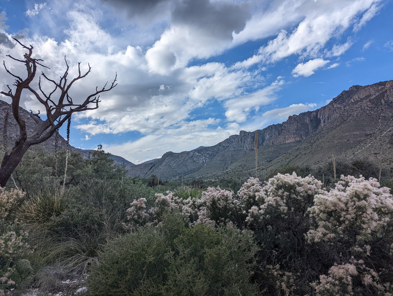 We reluctantly left Carlsbad Caverns to go to Guadalupe Mountains National Park