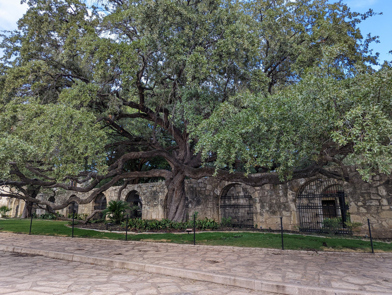 I learned quite a bit more about its long history. Parts of it are the oldest building built by Europeans in Texas. 