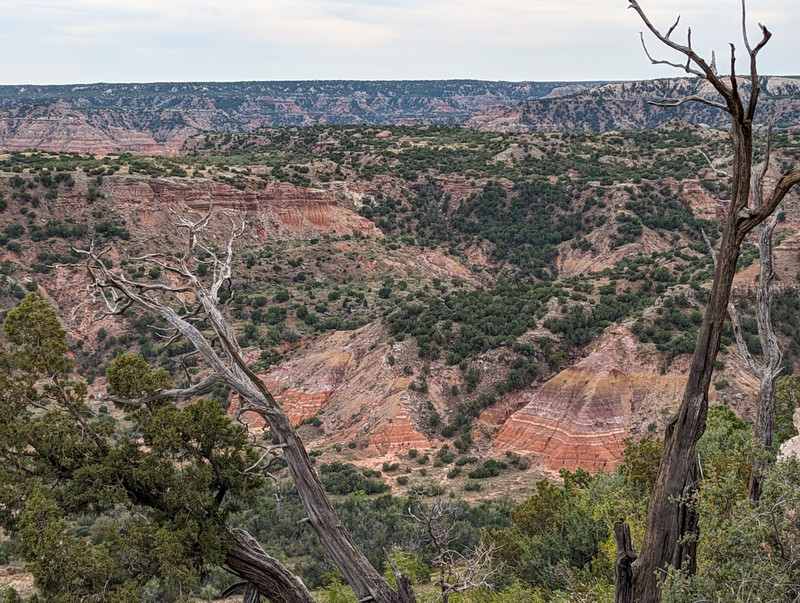 From there we went on to Palo Duro State Park