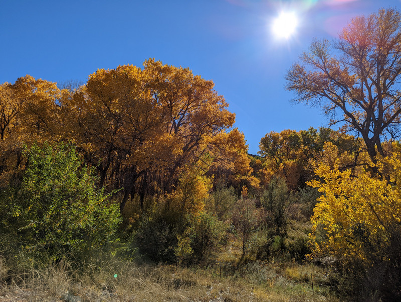 We got to enjoy some more fall color along the Rio Grande