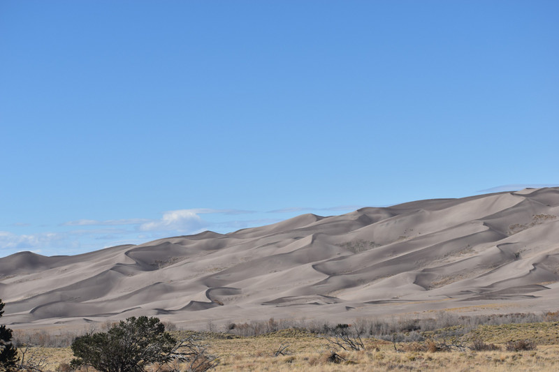 In the afternoon we arrived at Great Sand Dunes National Park