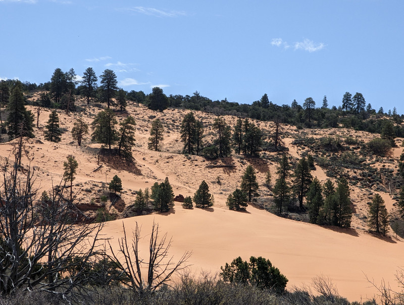 Our drive out showed more sand dunes outside of the park.