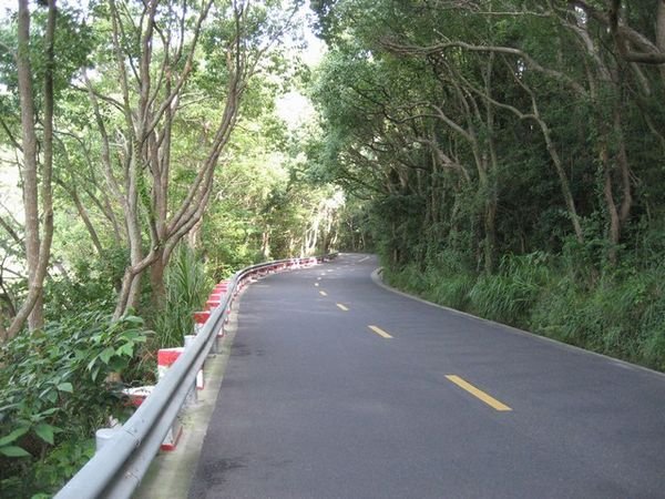 Pretty tree-lined roads