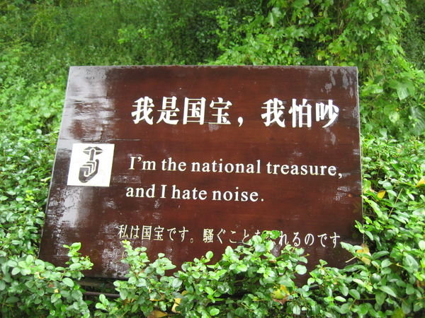 I hate noise too
