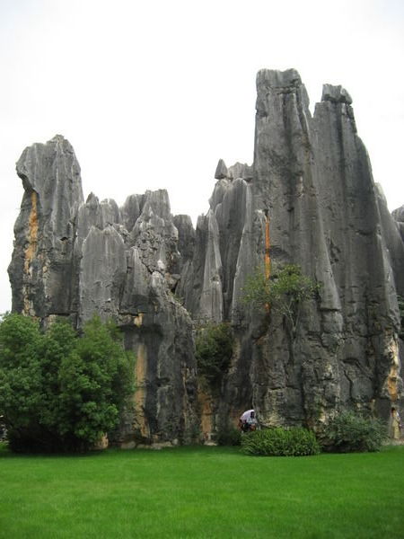 Shilin Rock Forest