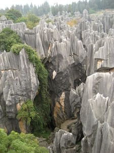 Shilin Rock Forest