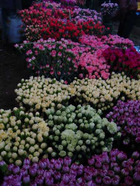 Dounan Flower Market