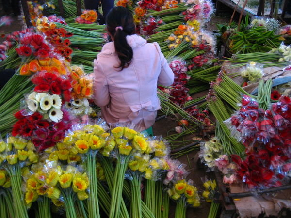 Dounan Flower Market
