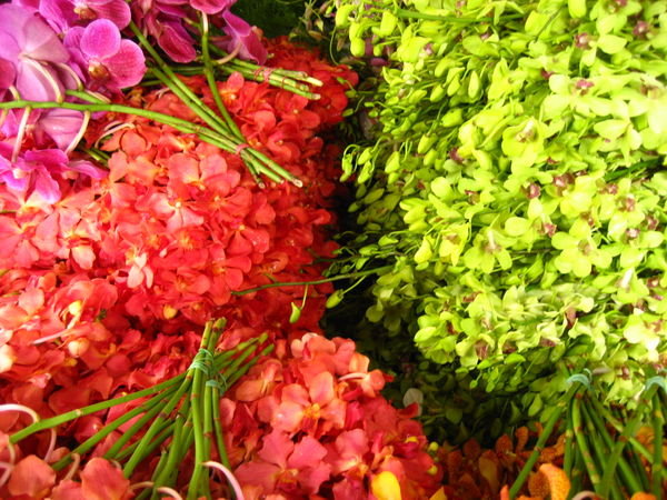 Flower Market, Bangkok