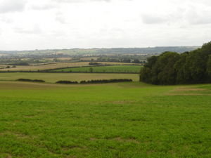 a view from the top of the hill