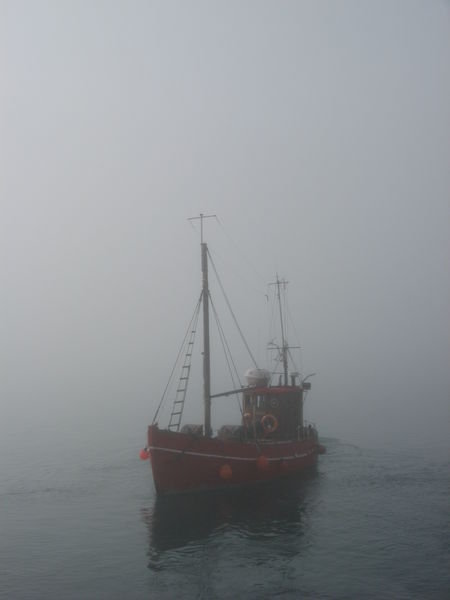 Puttut in the Fog