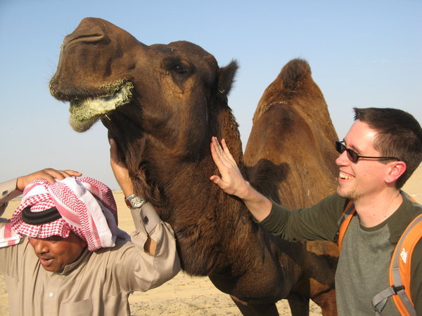 Watch out! Camels spit!