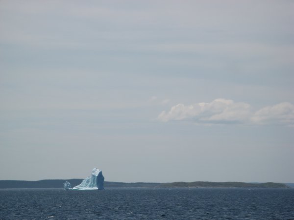 Iceberg Looming