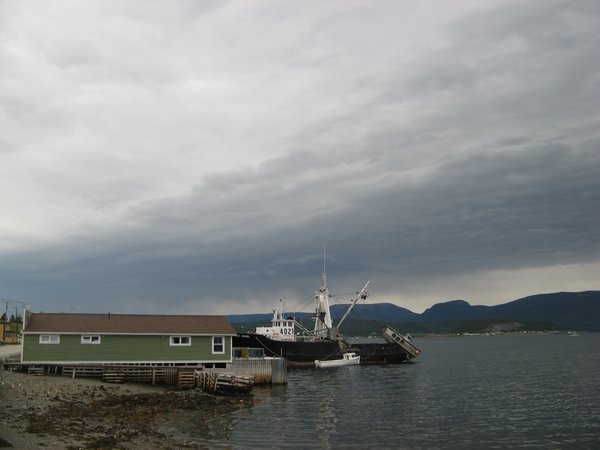 Back at Woody Point