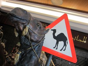 Camel Crossing - in the Mall
