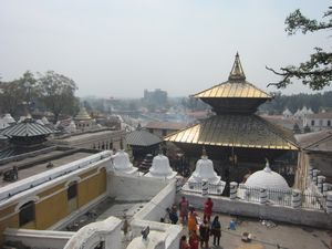 Above the Pashupatinath Temple