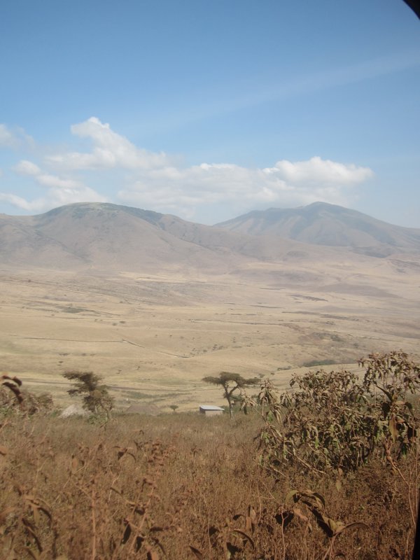 On Ngorongoro