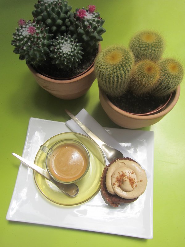 Cactus, Coffee, and Cupcake