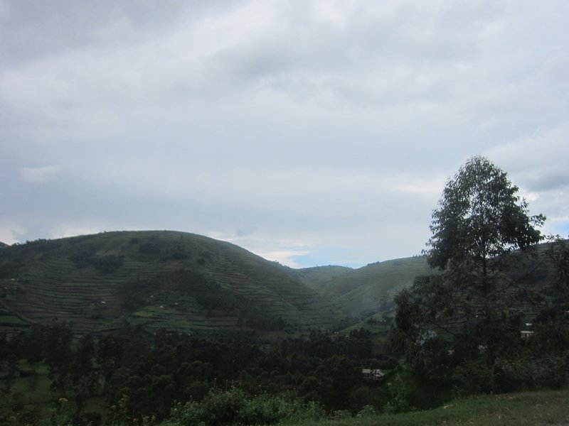 Into Uganda's South