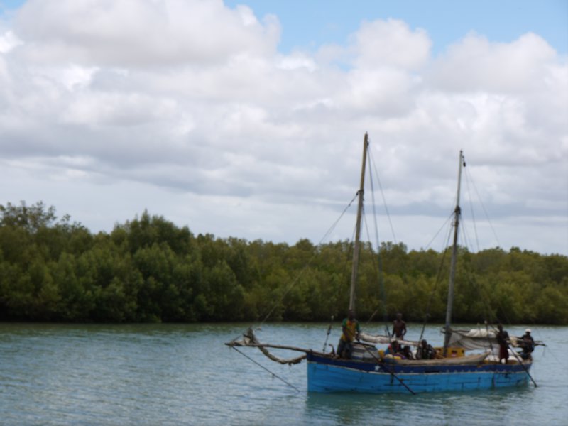 Sailing the Mangroves