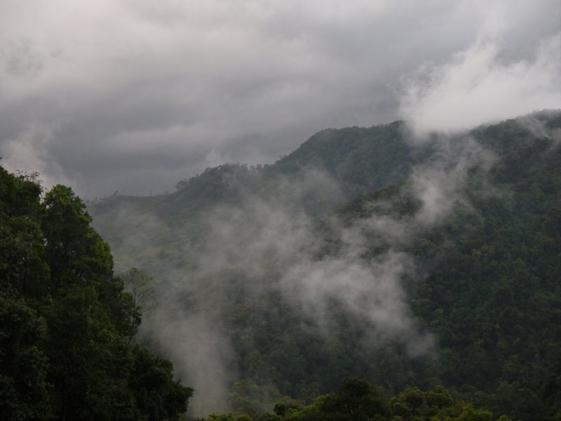 It is a Cloud Forest...