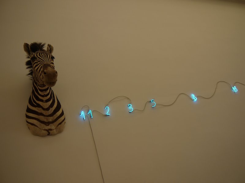 Zebra and Lights