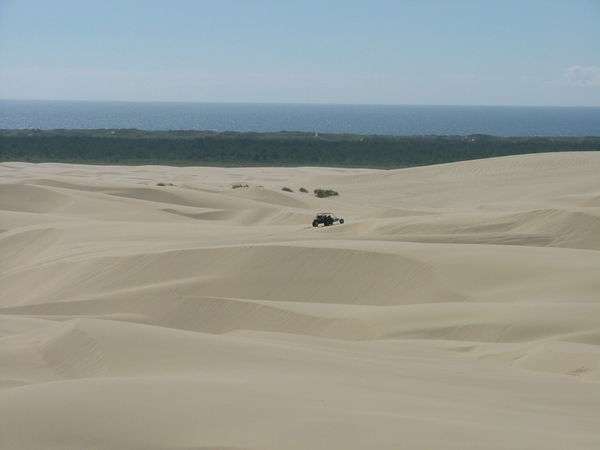 The Dune Buggies