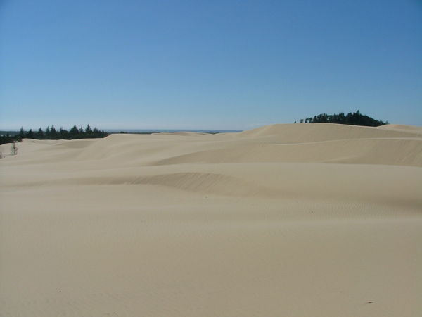 Dunes as far as the eye can see!