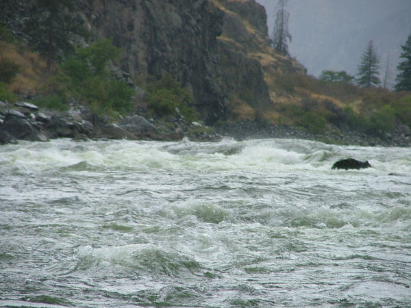One of the many rapids