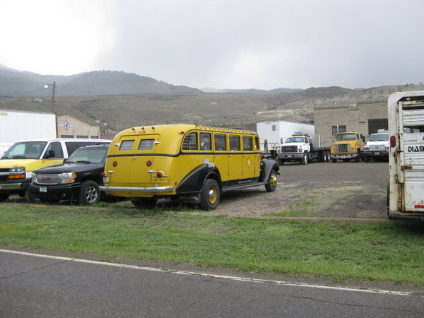  The old yellow cars