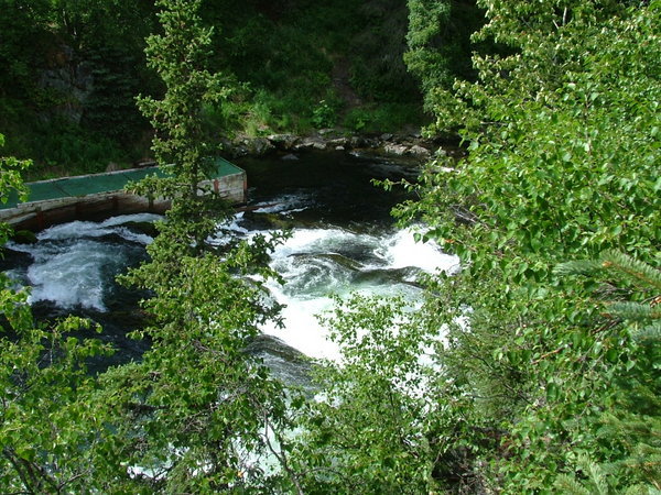 The bottom of the Falls