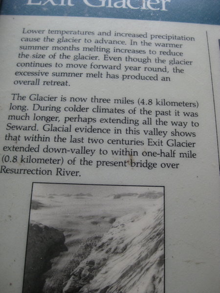 The Exit Glacier