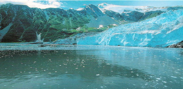 The Aialik Glacier as seen from Aialik Bay