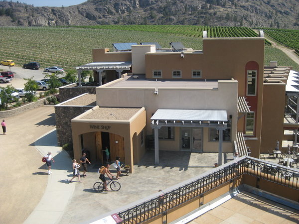  The Tasting Room at the winery