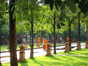 Monks walking about