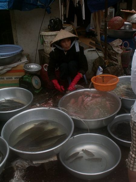 Fish market in Dalat