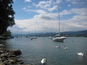 Zurich's Lake