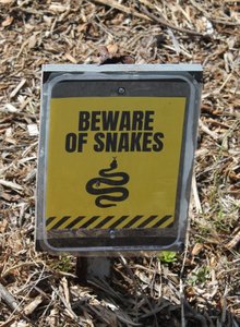 2. Snakes Sign